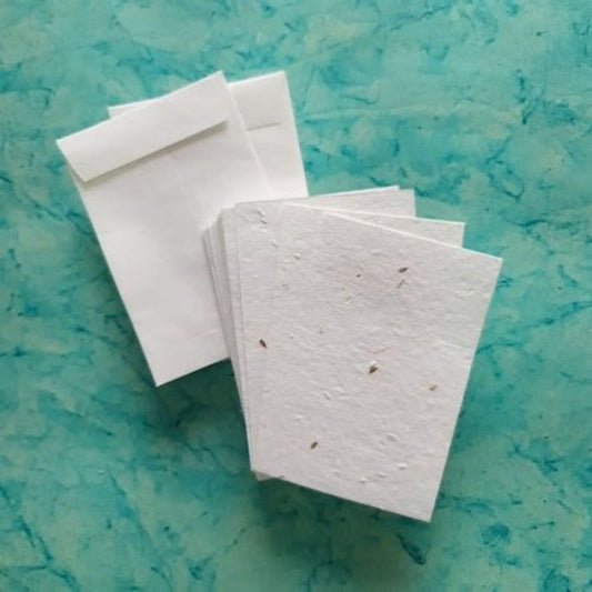FloraBloom – Marigold Seed Paper Pack